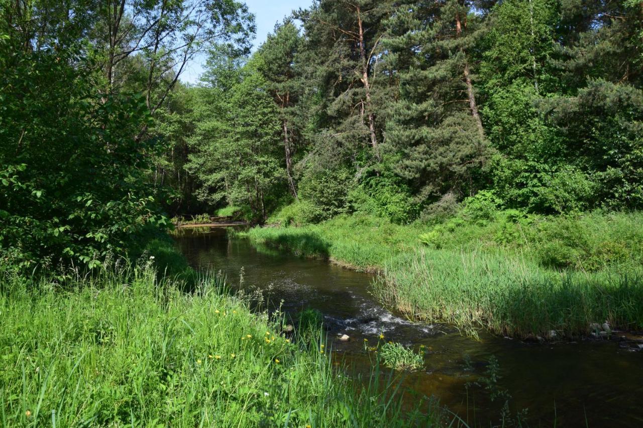 Stary Janow - Pensjonat Staporkow Extérieur photo